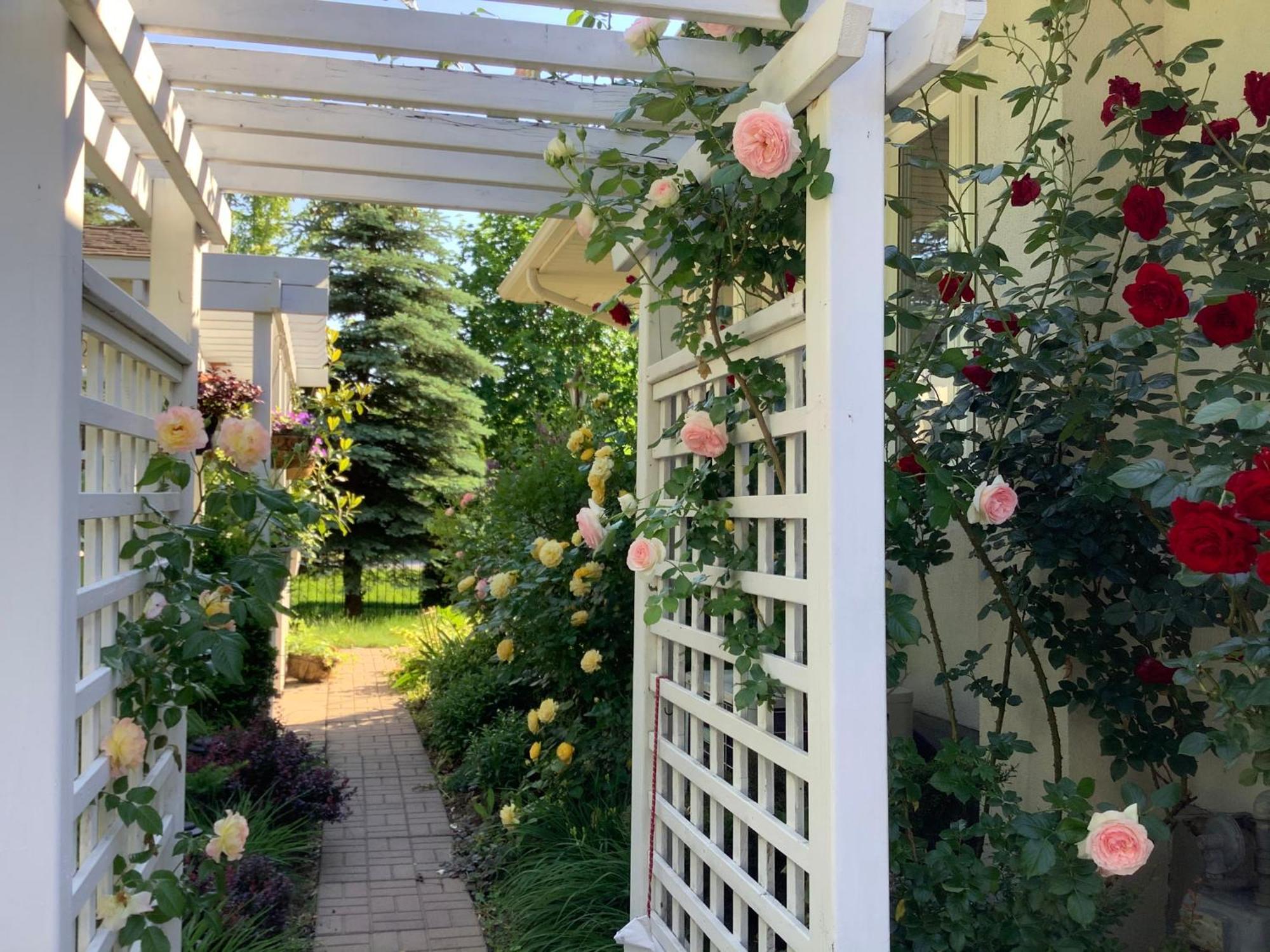 Via Veneto - Old Town Bed & Breakfast Niagara-on-the-Lake Exterior photo